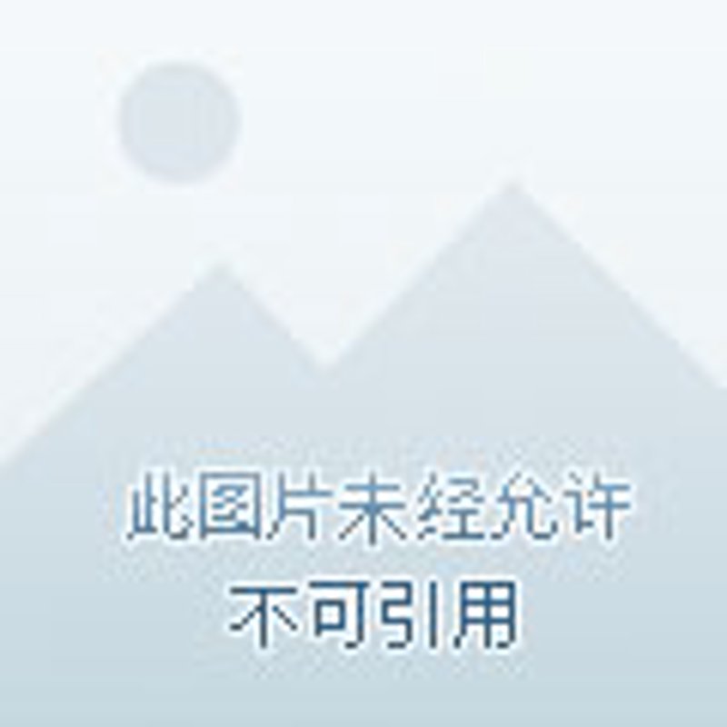 安徽农业开发公司：深耕土地，助力乡村振兴