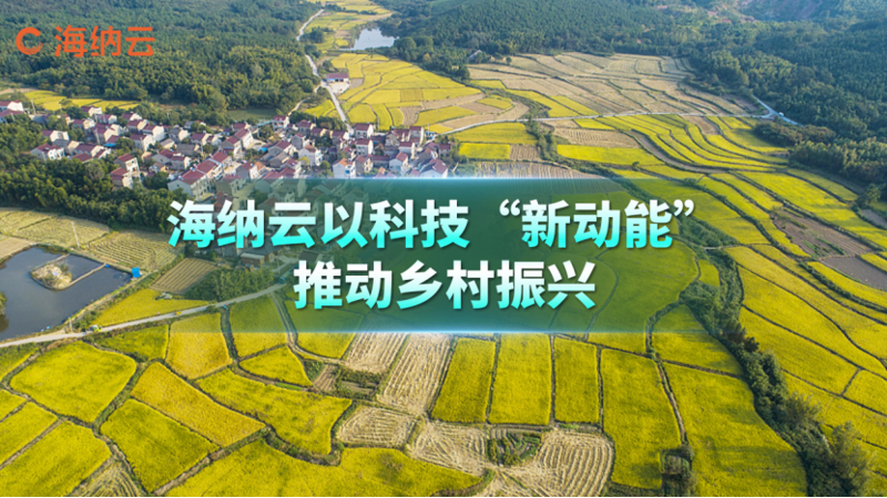 泾县农业开发选购指南