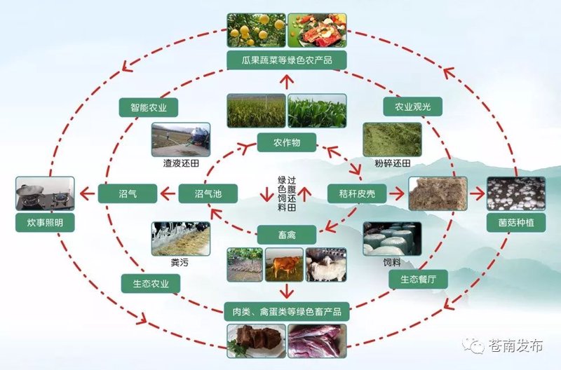 现代农业项目开发：探索未来乡村